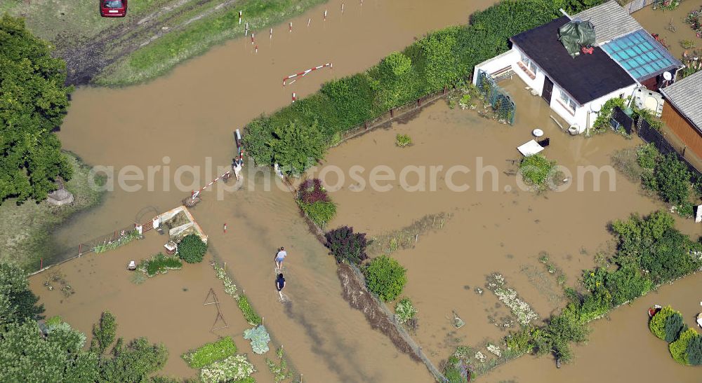 Forst from the bird's eye view: Blick auf das Hochwasser der Neiße in Forst an der Richard-Wagner-Straße in einer Wochenendsiedlung. View of the flood of the River Neisse in Forst.