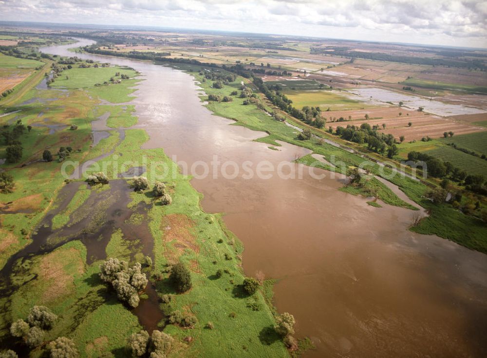 Aerial photograph Lebus - Blick auf die Hochwasser führende Oder bei Lebus. View of the flood carrying Oder near Lebus.