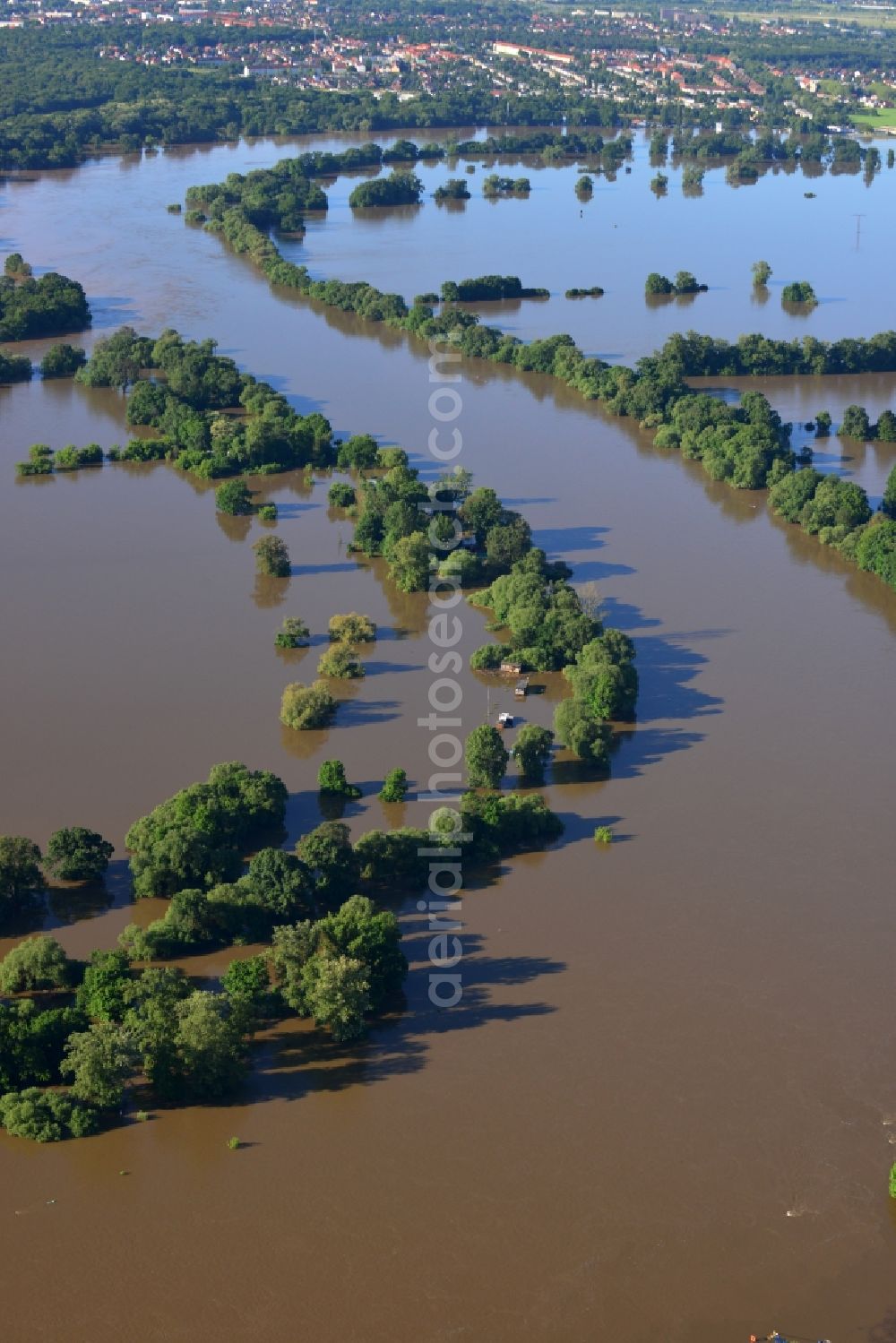 Aerial image Dessau-Roßlau - Flood level - situation from flooding and overflow of the banks of the Elbe in Dessau in Saxony-Anhalt