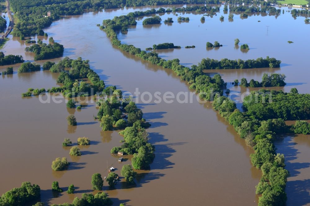 Aerial photograph Dessau-Roßlau - Flood level - situation from flooding and overflow of the banks of the Elbe in Dessau in Saxony-Anhalt