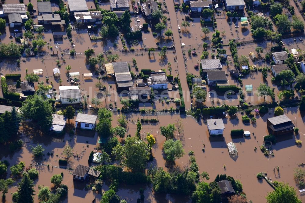 Aerial photograph Dessau-Roßlau - Flood level - situation from flooding and overflow of the banks of the Mulde in Dessau in Saxony-Anhalt