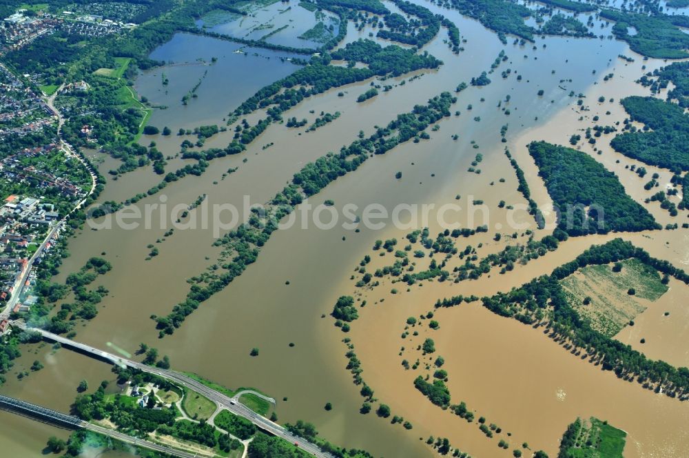 Aerial image Dessau-Roßlau - Flood level - situation from flooding and overflow of the bank of the Mulde at Dessau-Rosslau in Saxony-Anhalt