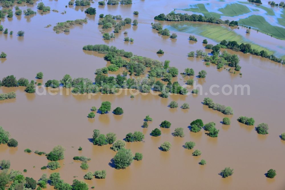 Glaucha OT Oberglaucha from the bird's eye view: Flood level - situation from flooding and overflow of the bank of the Mulde in Glaucha destrict Oberglaucha in Saxony