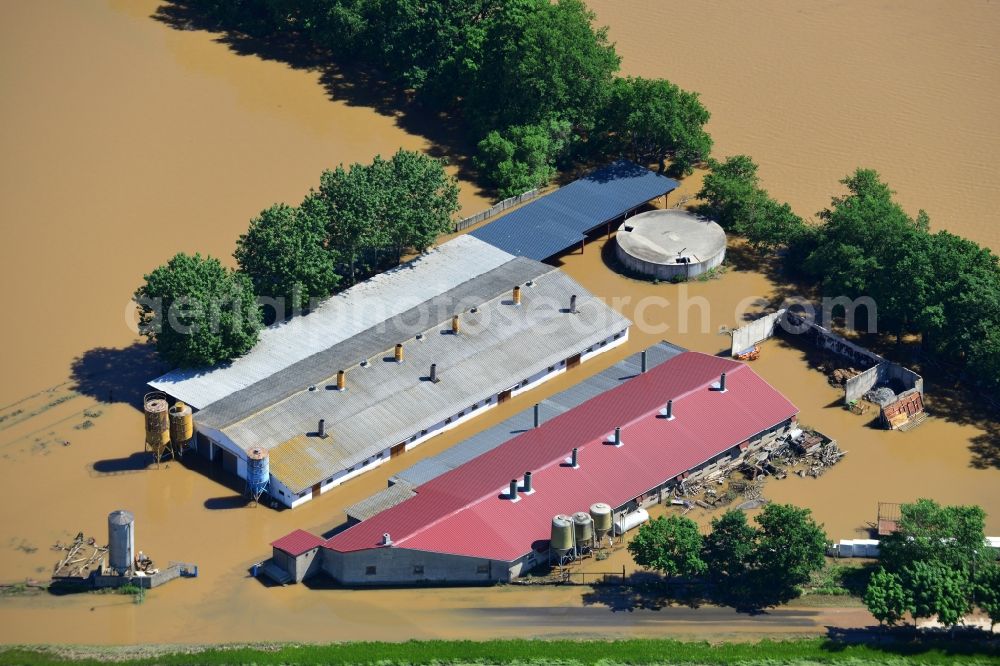 Glaucha OT Oberglaucha from the bird's eye view: Flood level - situation from flooding and overflow of the bank of the Mulde in Glaucha destrict Oberglaucha in Saxony