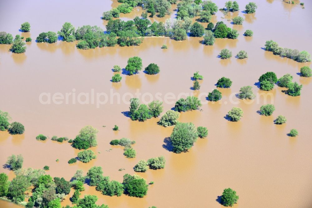 Aerial image Glaucha OT Oberglaucha - Flood level - situation from flooding and overflow of the bank of the Mulde in Glaucha destrict Oberglaucha in Saxony