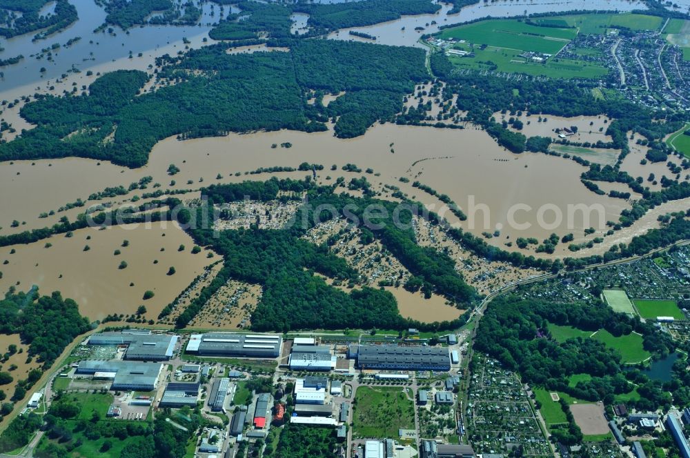 Dessau-Roßlau from the bird's eye view: Flood level - situation from flooding and overflow of the bank of the Mulde at Dessau-Rosslau in Saxony-Anhalt