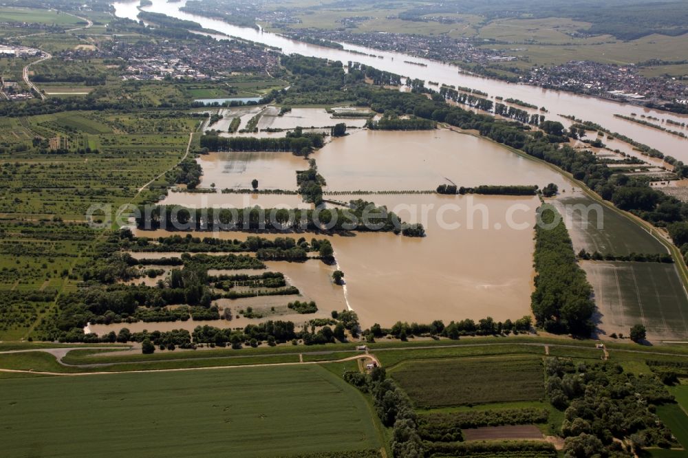 Aerial photograph Ingelheim - Stormwater retention basin in Ingelheim the state of Rhineland-Palatinate