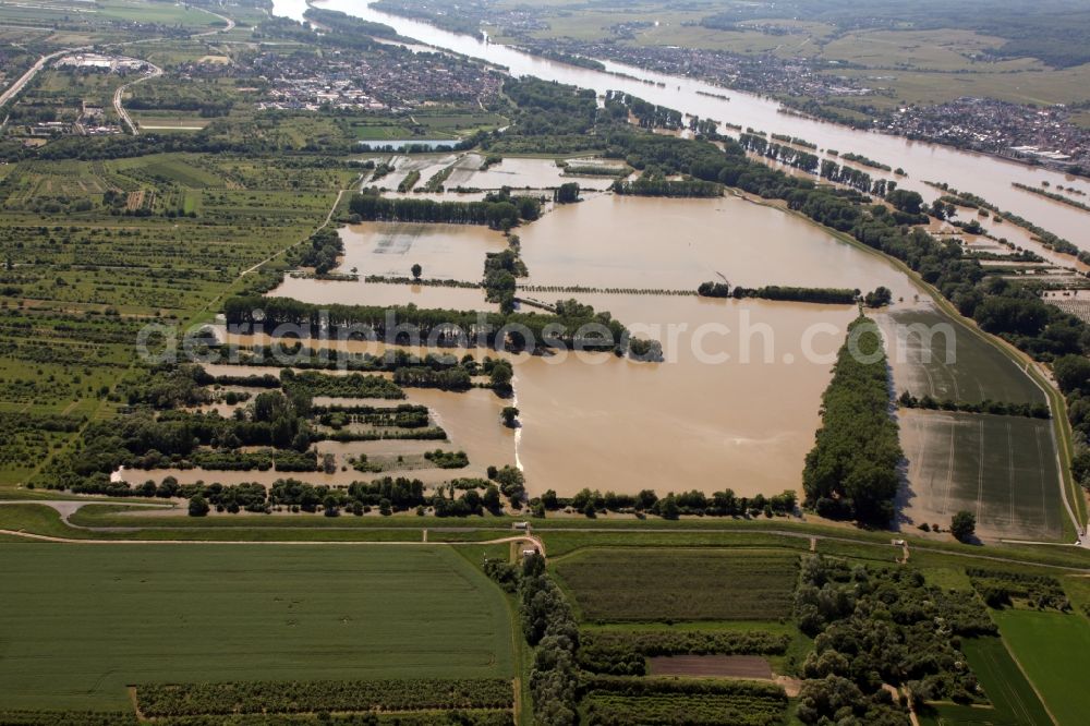 Ingelheim from above - Stormwater retention basin in Ingelheim the state of Rhineland-Palatinate