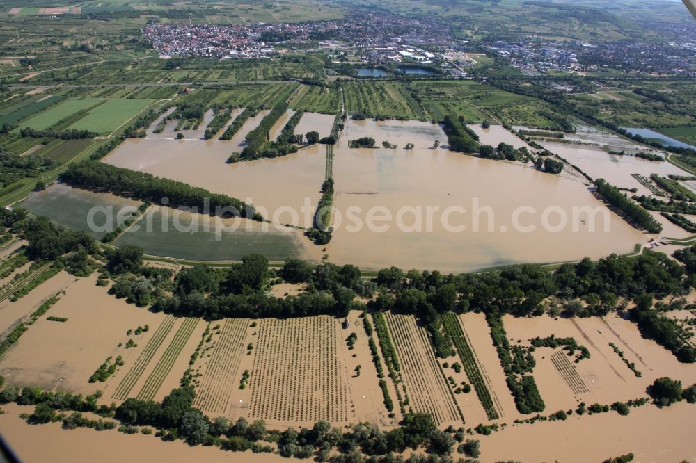 Aerial photograph Ingelheim - Stormwater retention basin in Ingelheim the state of Rhineland-Palatinate