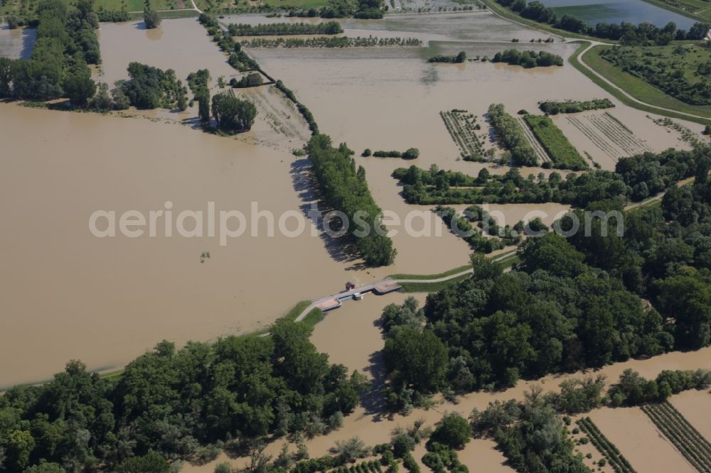 Ingelheim from the bird's eye view: Stormwater retention basin in Ingelheim the state of Rhineland-Palatinate