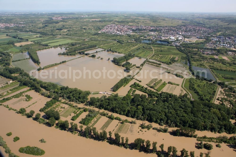 Aerial image Ingelheim - Stormwater retention basin in Ingelheim the state of Rhineland-Palatinate