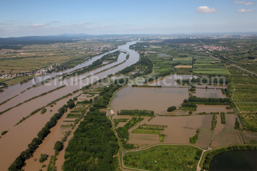 Aerial photograph Ingelheim - Stormwater retention basin in Ingelheim the state of Rhineland-Palatinate