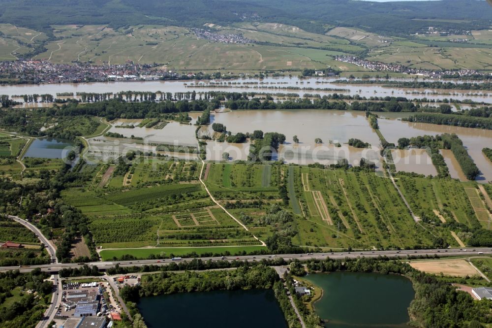 Aerial image Ingelheim - Stormwater retention basin in Ingelheim the state of Rhineland-Palatinate