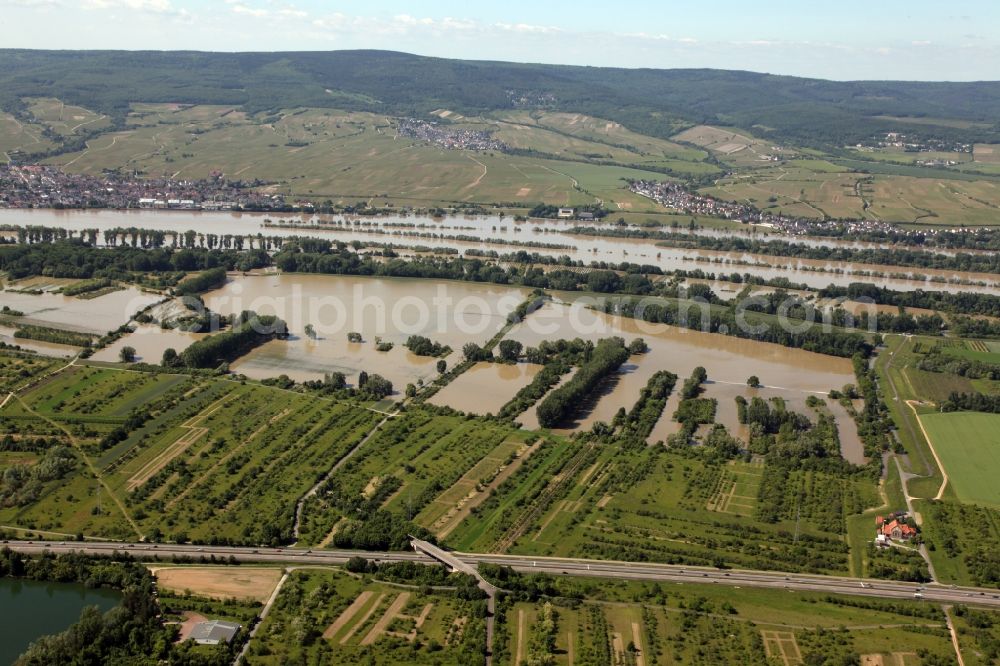 Aerial photograph Ingelheim - Stormwater retention basin in Ingelheim the state of Rhineland-Palatinate