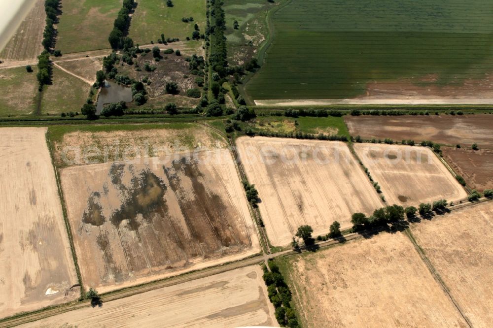 Aerial photograph Gebesee - The fields in the valley of the Unstrut near Gebesee in Thuringia the damage a flood are still visible. In large areas of fields cultivated plants are flooded with mud