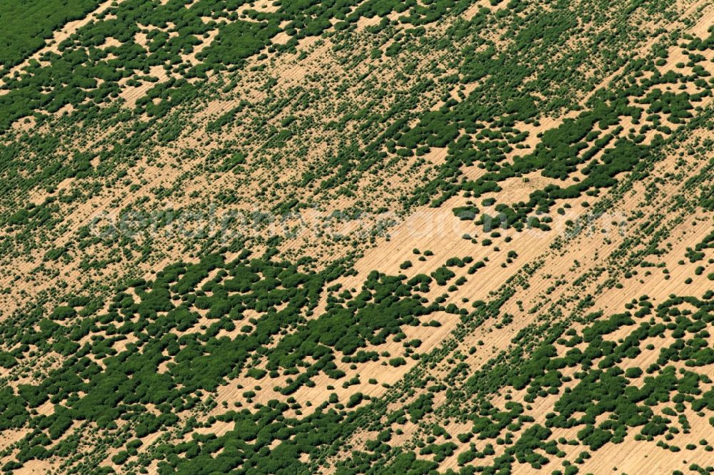 Aerial photograph Andisleben - On a field at Andisleben in the state of Thuringia, major damage can be identified by a flood. By continuing high water level soil and plants were washed away