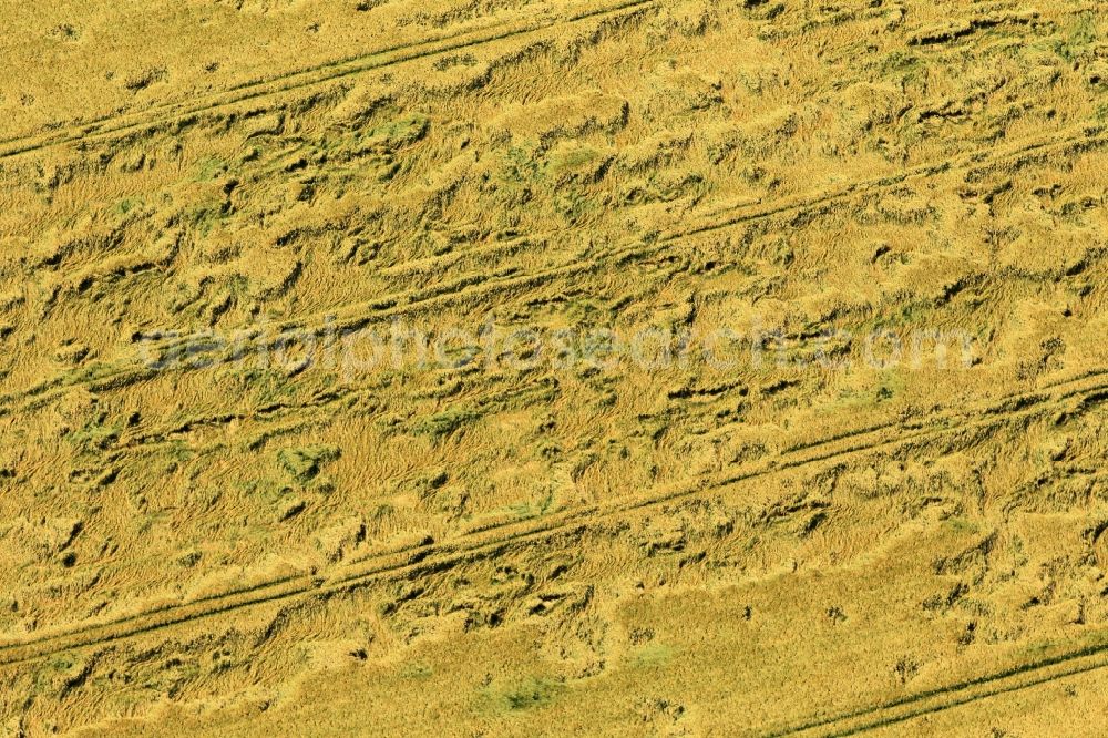 Andisleben from above - On a field at Andisleben in the state of Thuringia, major damage can be identified by a flood. By continuing high water level and flow, the grain put aside