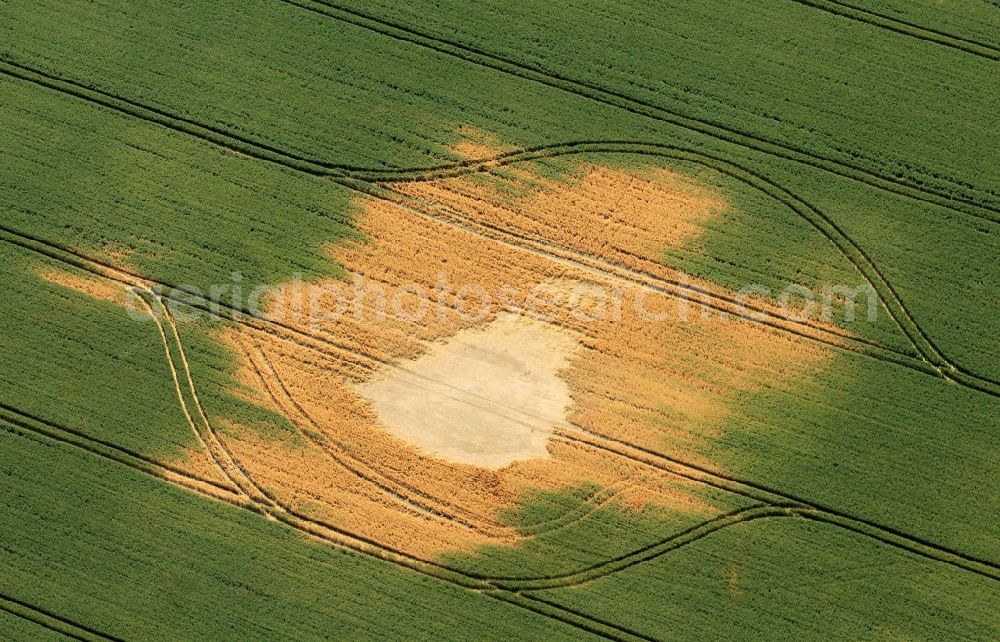 Andisleben from the bird's eye view: On a field at Andisleben in the state of Thuringia, major damage can be identified by a flood. In depressions remained after the storm longer time dammed water. So the cultivated plants died at this point