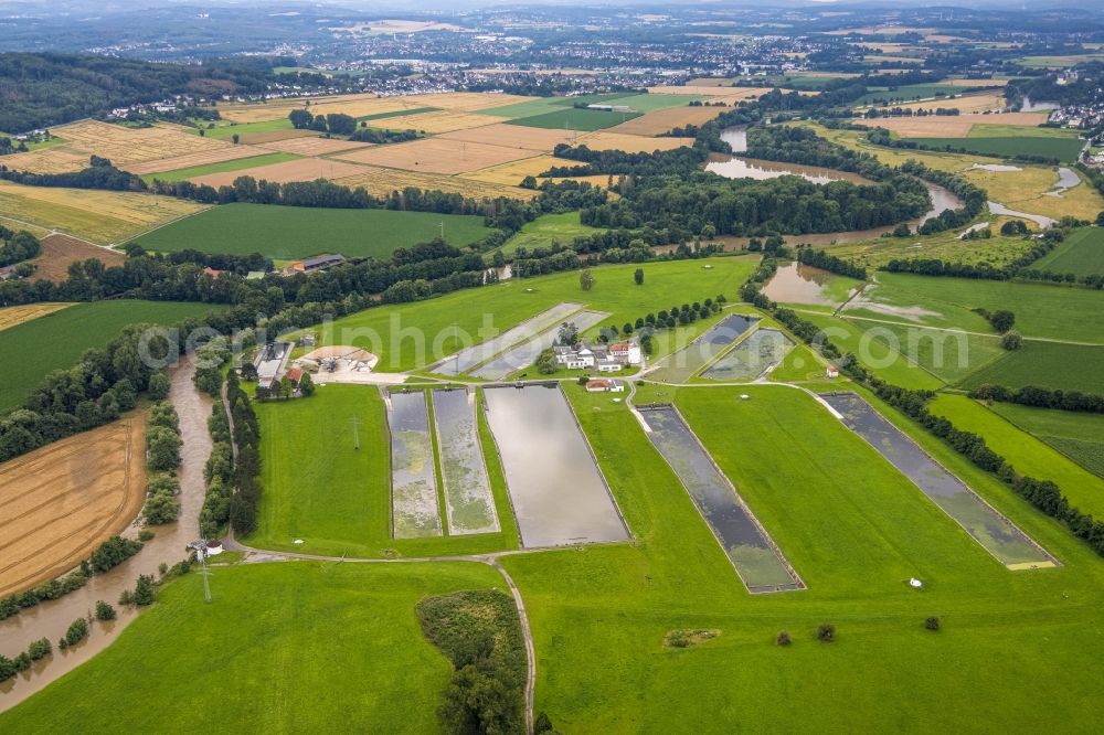 Fröndenberg/Ruhr from above - Flood situation and flooding, all-rousing and infrastructure-destroying masses of brown water at Wasserwerk Warmen on Merschstrasse in Froendenberg/Ruhr in the state North Rhine-Westphalia, Germany