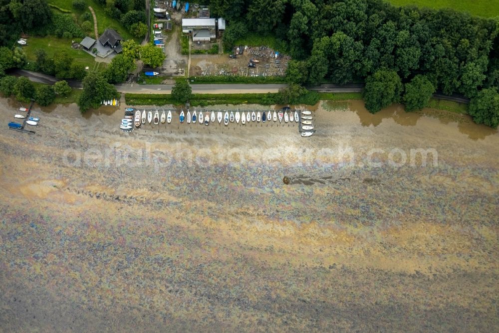 Essen from above - Flood situation of the inundating, all-moving and infrastructure-destroying brown water masses with extensive oil spill on the water surface of the Baldeneysee in the district Bredeney in Essen in the Ruhr area in the state North Rhine-Westphalia, Germany