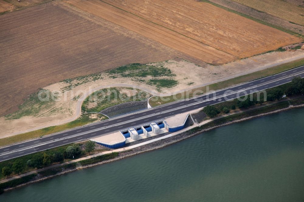 Mainz from the bird's eye view: Flood protection system on the Rhine with various arable land in Hintergrung in Mainz in Rhineland-Palatinate