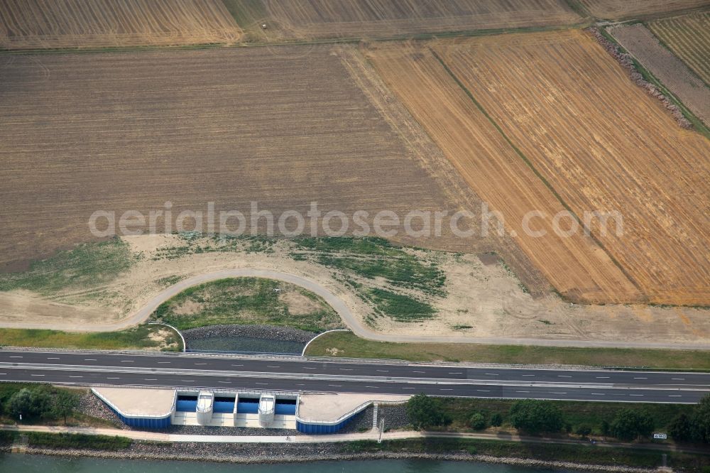 Aerial image Mainz - Flood protection system on the Rhine with various arable land in Hintergrung in Mainz in Rhineland-Palatinate