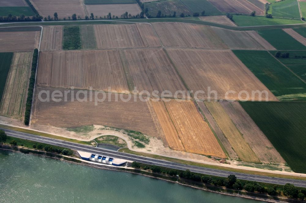 Aerial photograph Mainz - Flood protection system on the Rhine with various arable land in Hintergrung in Mainz in Rhineland-Palatinate