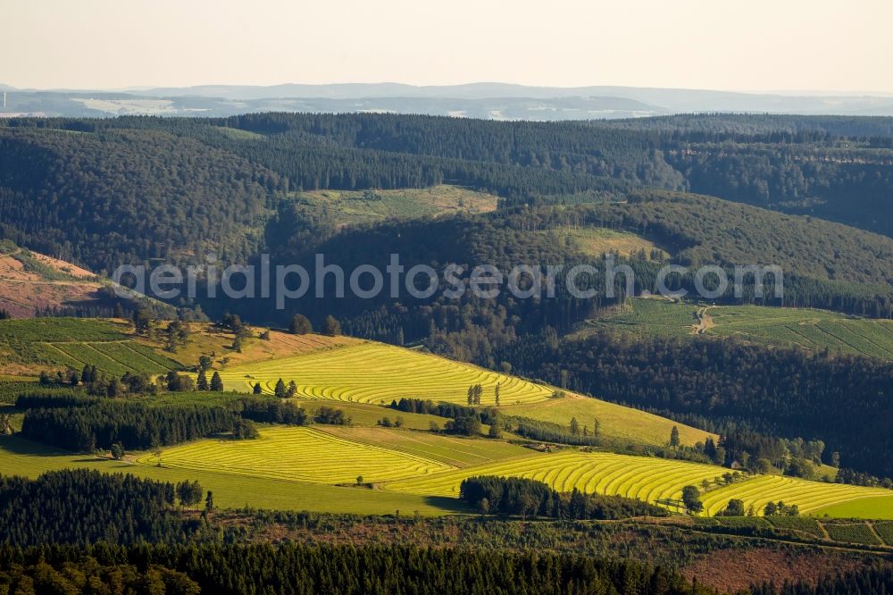 Aerial image Schmallenberg OT Schanze - View of mowed lawns near Schanze in Schmallenberg in the state North Rhine-Westphalia