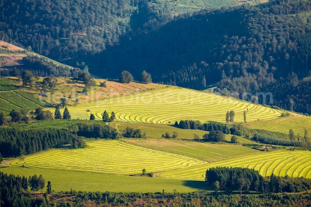 Aerial photograph Schmallenberg OT Schanze - View of mowed lawns near Schanze in Schmallenberg in the state North Rhine-Westphalia