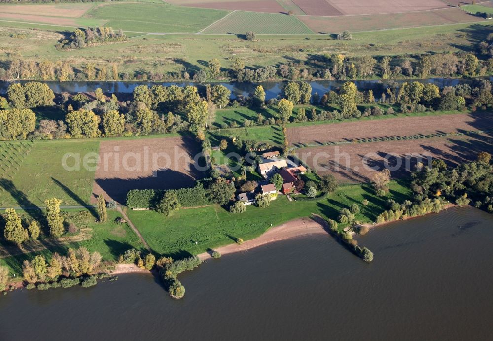 Aerial image Trebur - Hofgut Langenau, farm and tourist restaurant, on the Rhine island Langenau in the state of Hesse