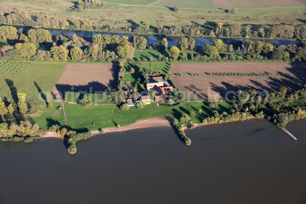 Aerial photograph Trebur - Hofgut Langenau, farm and tourist restaurant, on the Rhine island Langenau in the state of Hesse