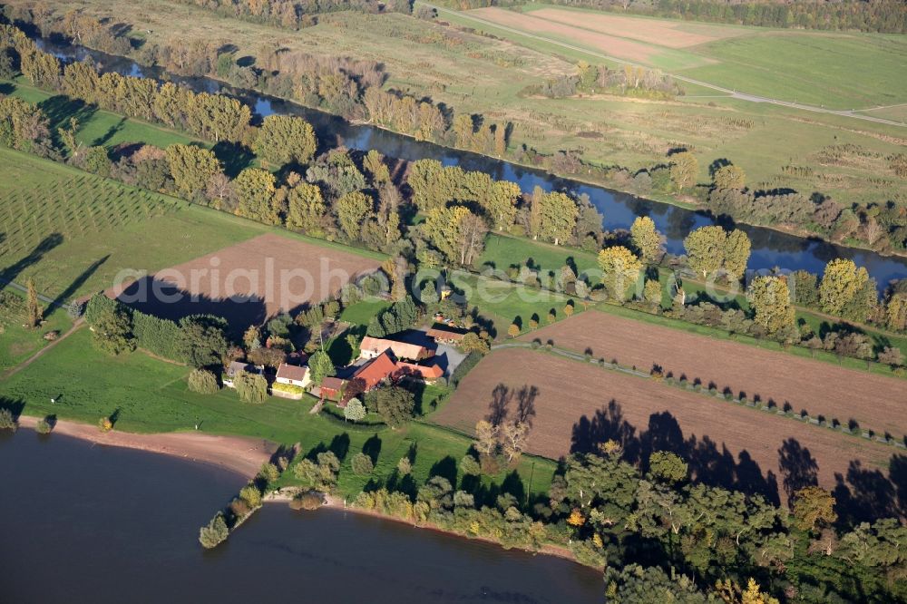 Trebur from above - Hofgut Langenau, farm and tourist restaurant, on the Rhine island Langenau in the state of Hesse