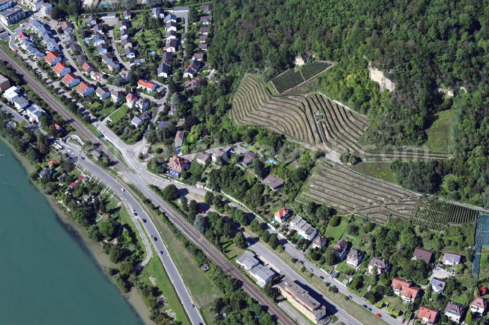 Grenzach-Wyhlen from the bird's eye view: The most southern vineyard in Germany Hornfelsen with fields of wine cultivation landscape in Grenzach-Wyhlen in the state Baden-Wurttemberg, Germany