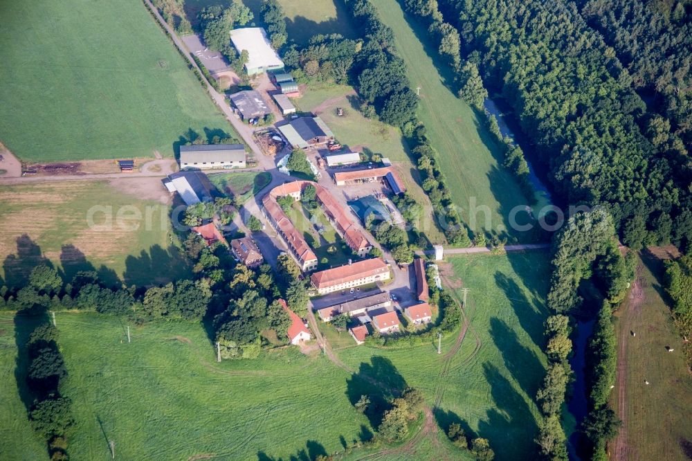 Aerial image Waldmohr - Homestead of a farm Eichelscheiderhof in Waldmohr in the state Rhineland-Palatinate, Germany