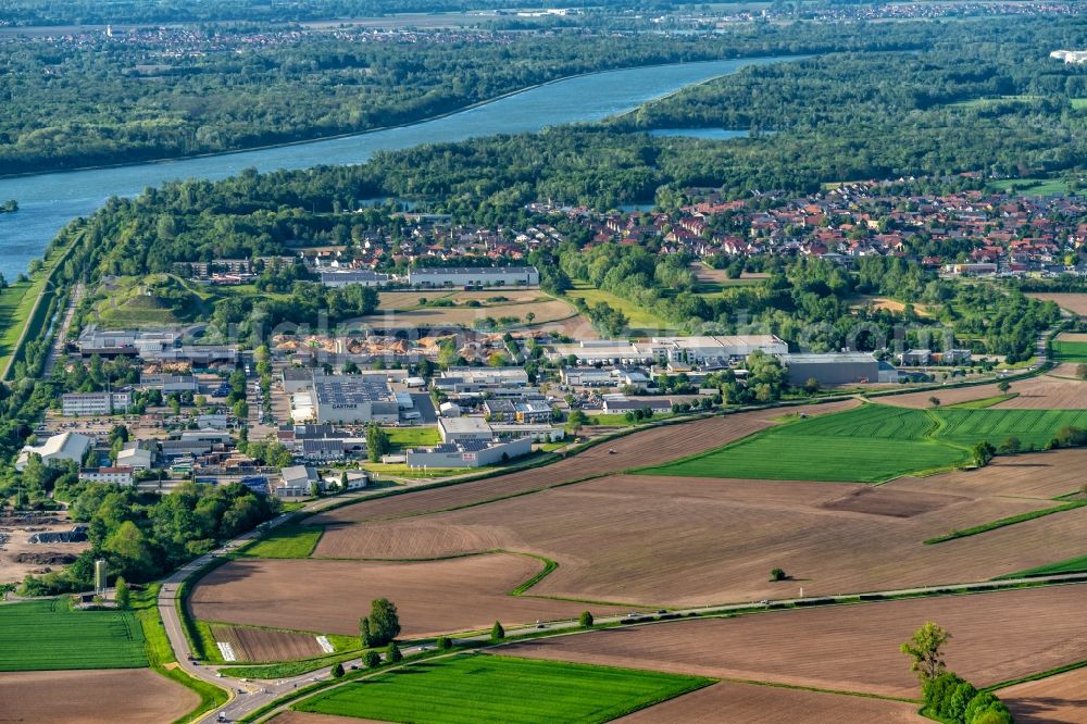 Aerial image Auenheim - Industrial and commercial area in Auenheim in the state Baden-Wurttemberg, Germany