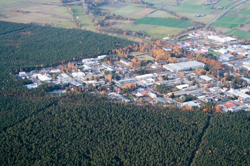 Haßloch from the bird's eye view: Industrial and commercial area South in the district Industriegebiet Sued in Hassloch in the state Rhineland-Palatinate