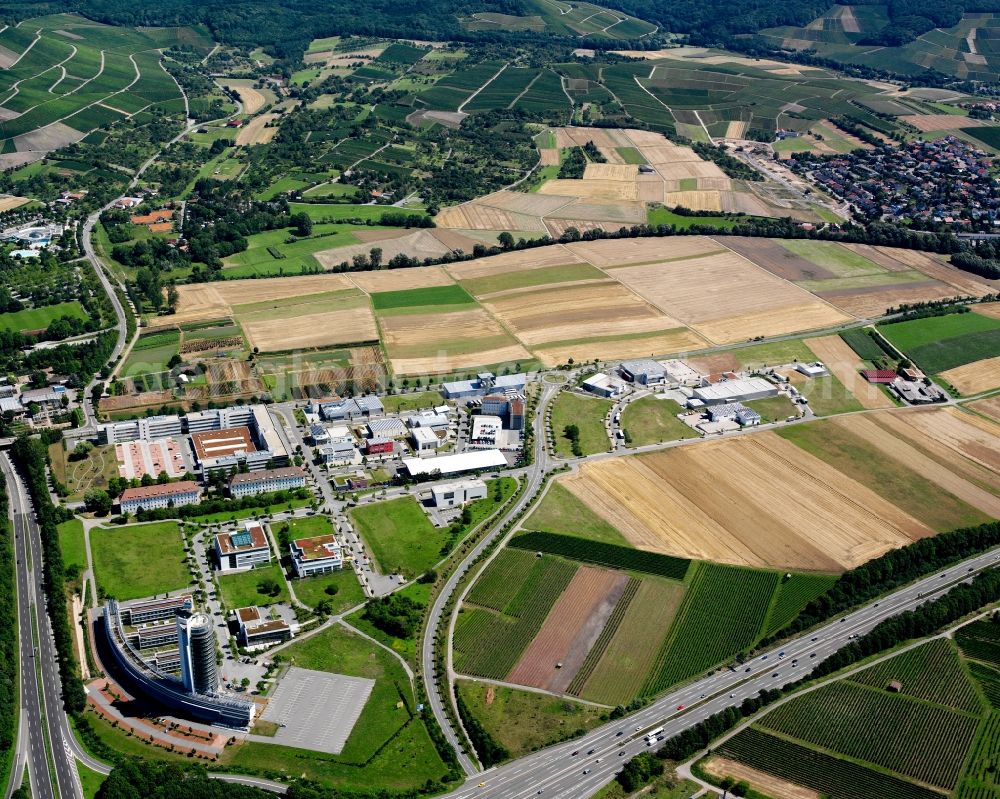 Obereisesheim from the bird's eye view: Industrial and commercial area on the edge of agricultural fields in Obereisesheim in the state Baden-Wuerttemberg, Germany