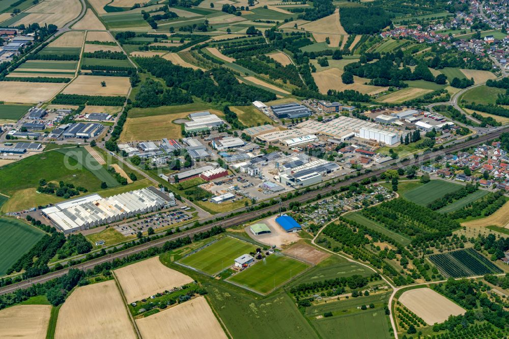 Aerial image Sasbach - Industrial and commercial area LUK GmbH on street Am Fuchsgraben in Sasbach in the state Baden-Wuerttemberg