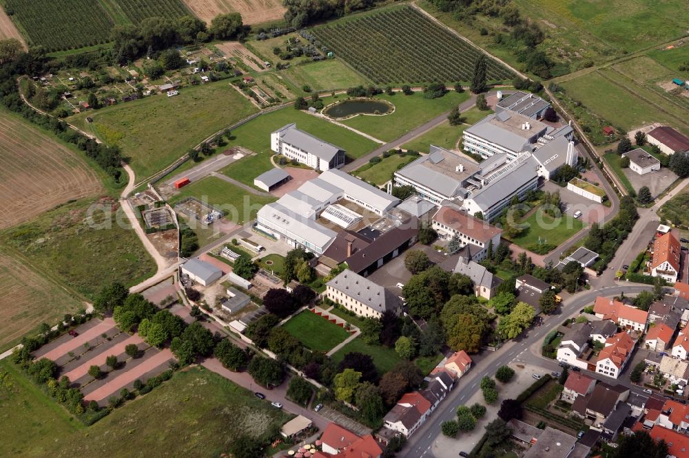 Aerial image Schwabenheim an der Selz - Industrial and commercial area in Schwabenheim an der Selz in the state Rhineland-Palatinate