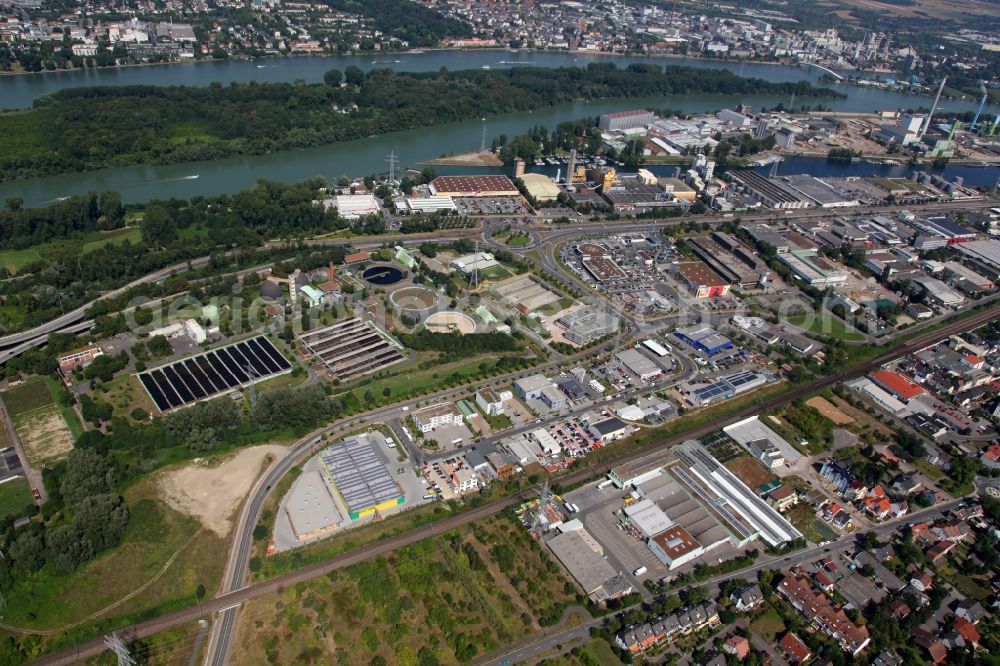 Mainz from above - Industrial and commercial area and central sewage treatment plant Mainz, Mainz in Rhineland-Palatinate