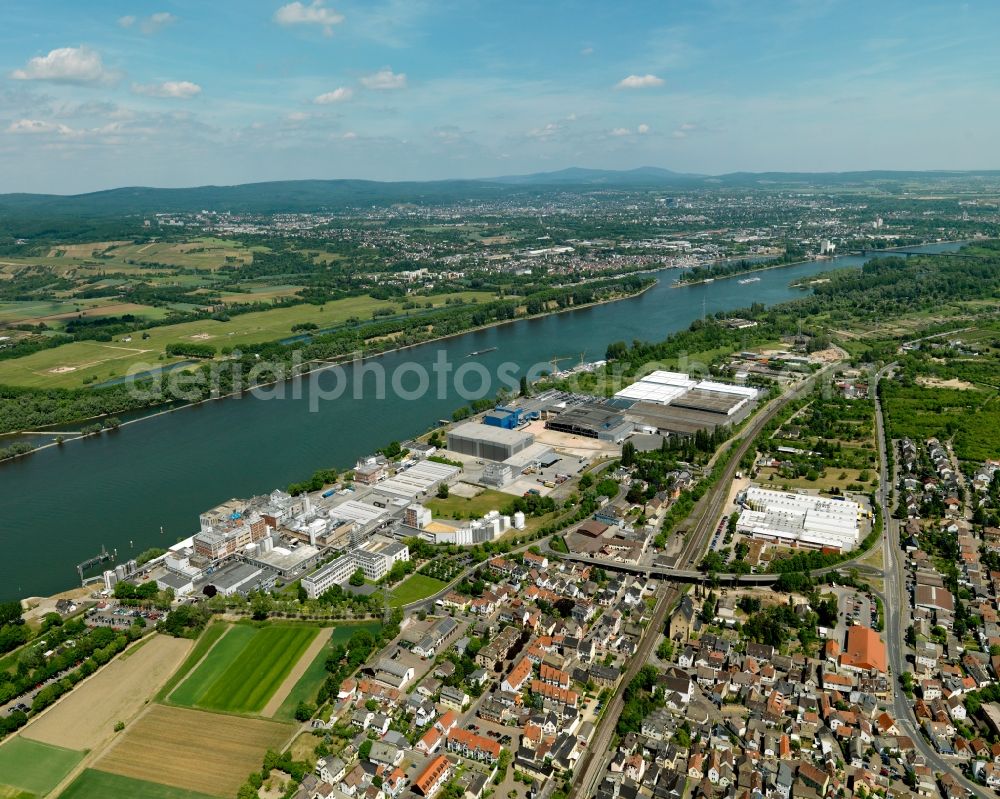 Aerial photograph Budenheim - View of an enterprise zone in Budenheim in the state Rhineland-Palatinate