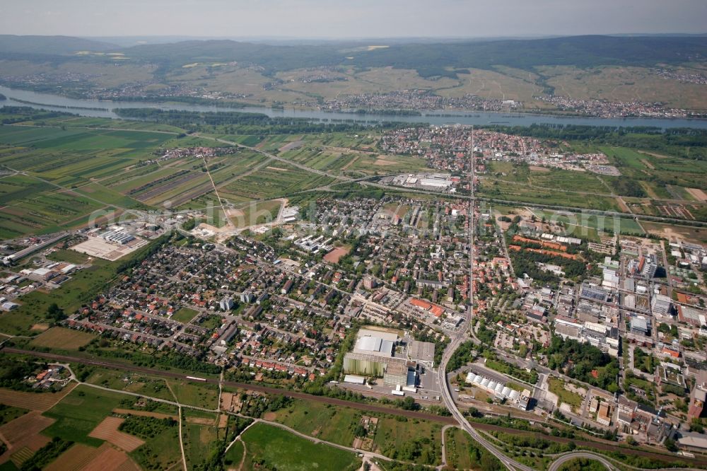 Aerial photograph Ingelheim am Rhein - Center of Ingelheim am Rhein in Rhineland-Palatinate