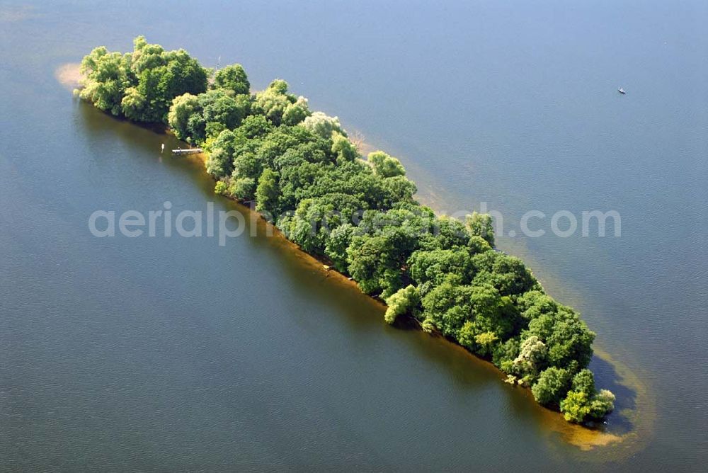 Berlin from the bird's eye view: Blick auf die Insel Hasselwerder im Tegeler See in Reinickendorf.