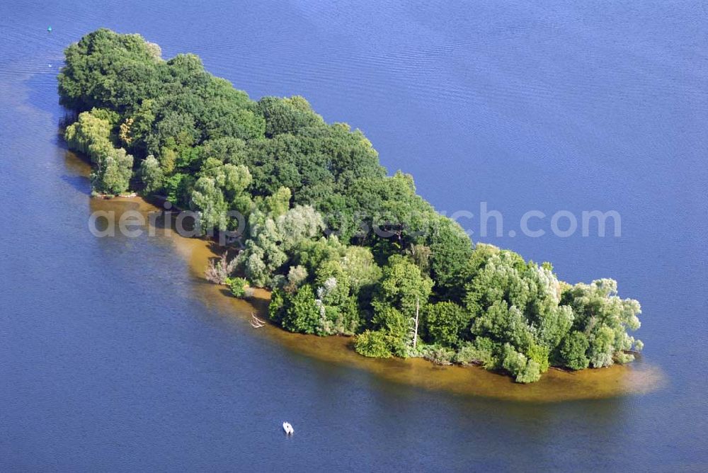 Berlin from the bird's eye view: Blick auf die Insel Hasselwerder im Tegeler See in Reinickendorf.