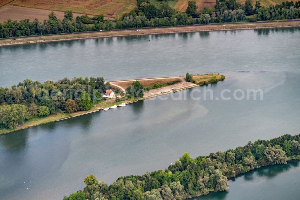 Aerial image Rhinau - Island on the banks of the river course on Oberrhein in Rhinau in Grand Est, France