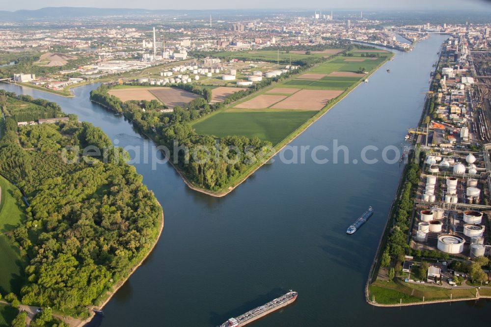 Aerial photograph Mannheim - Island on the banks of the river course of Rhine river and of the old Rhine in the district Friesenheimer Insel in Mannheim in the state Baden-Wuerttemberg, Germany