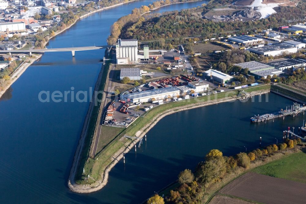 Aerial image Mannheim - Island on the banks of the river course of Rhine river and of the old Rhine in the district Friesenheimer Insel in Mannheim in the state Baden-Wuerttemberg, Germany