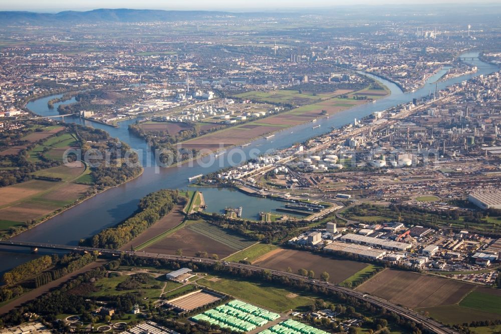 Aerial image Mannheim - Island on the banks of the river course of Rhine river and of the old Rhine in the district Friesenheimer Insel in Mannheim in the state Baden-Wuerttemberg, Germany