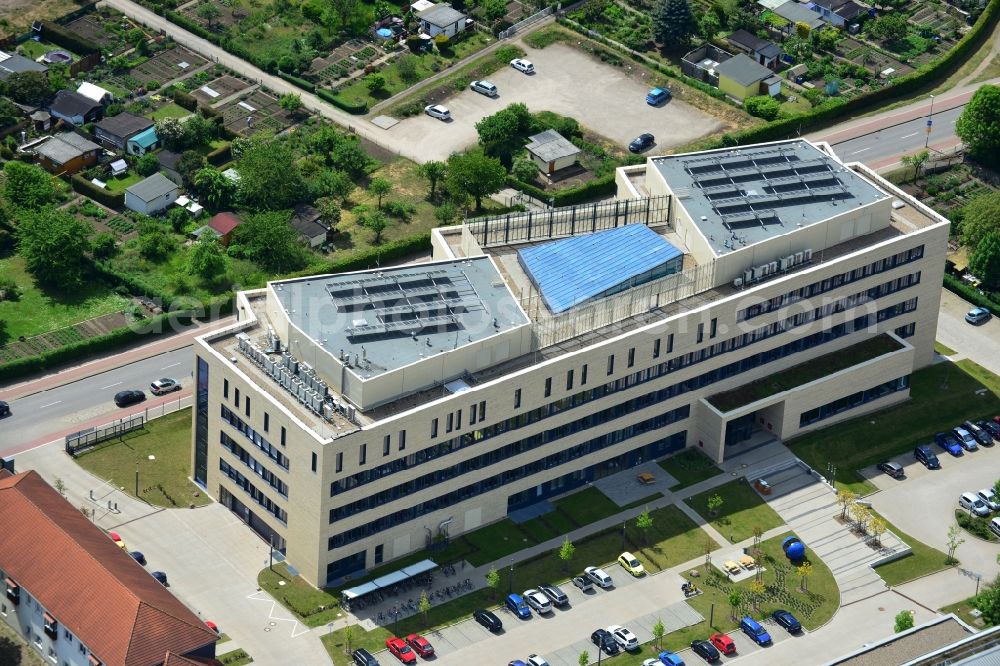 Aerial photograph Magdeburg OT Lemsdorf - Building site of the institute building Leibniz Institut for neuro biology at the medical faculty Otto-von-Guericke University