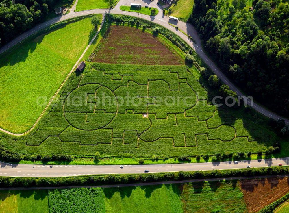 Biberach from above - Maze in Bieberach (Baden) in Baden-Württemberg